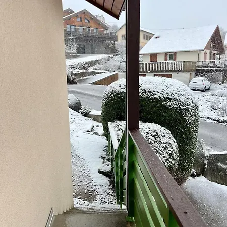 Duplex In View Swimming Pool Gérardmer