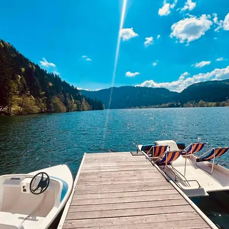 Duplex In View Swimming Pool Gérardmer